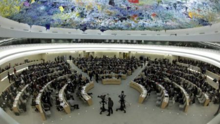 United Nations Human Rights Council Working Session